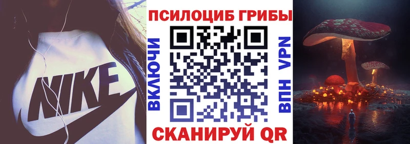 цены наркотик Луза omg рабочий сайт Галлюциногенные грибы Magic Shrooms
